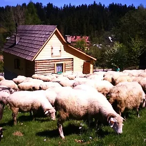 Domek Przy Olczyskiej Domek alpejski