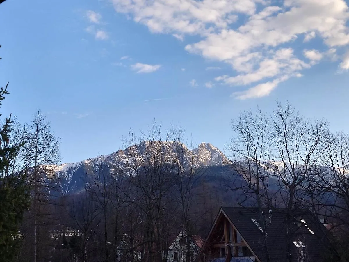 Apartment Apartamenty Przy Gorskim Potoku Zakopane